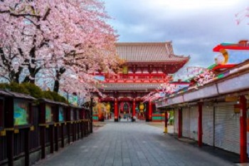 Japan Honshu Island丨Tokyo Free Day + Kamakura + Mount Fuji + Kyoto + Nara + Osaka 9 Days 7 Nights Tour -2024